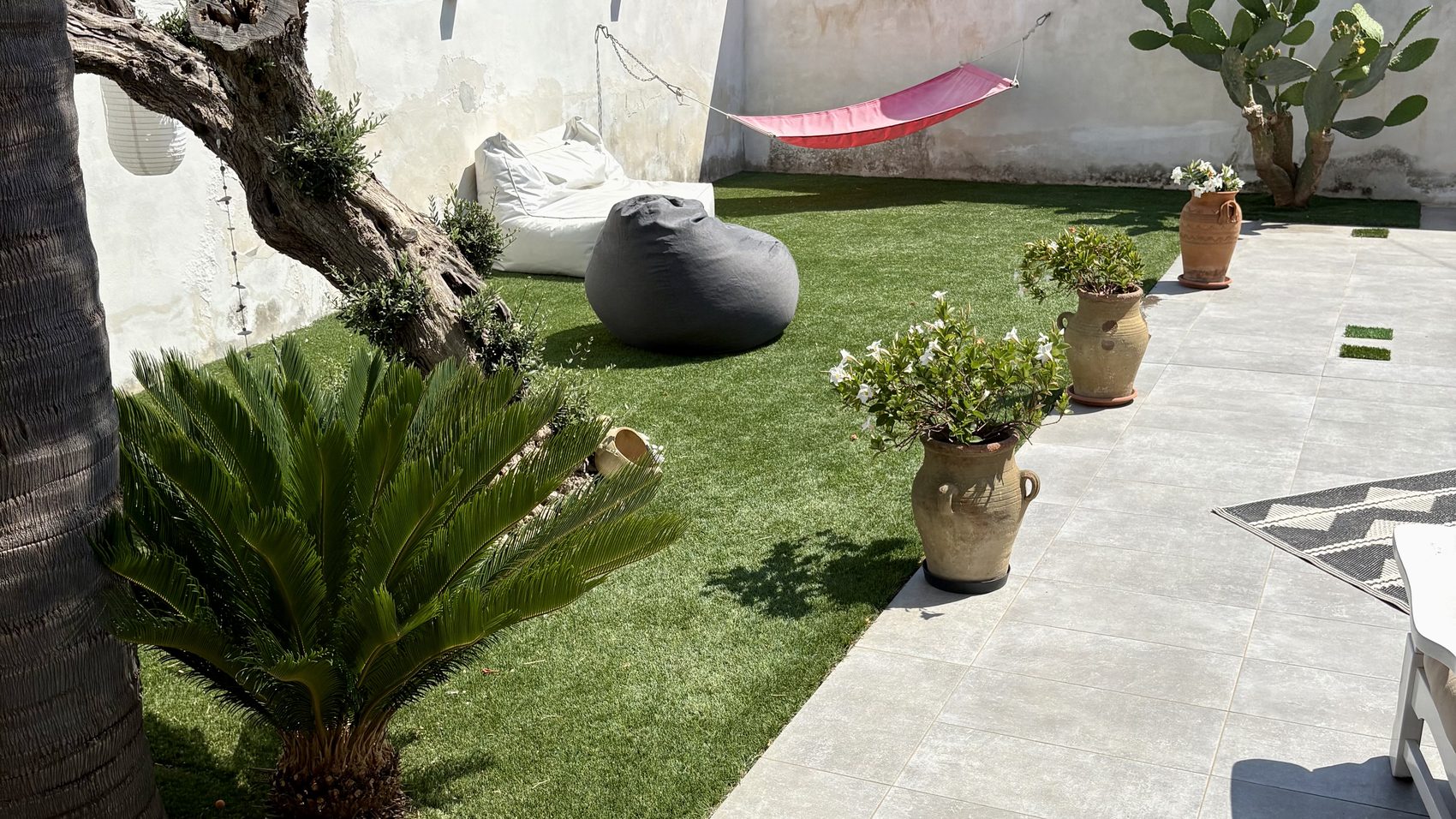 Il giardino di Villa Masá tra palme e fichi d'India